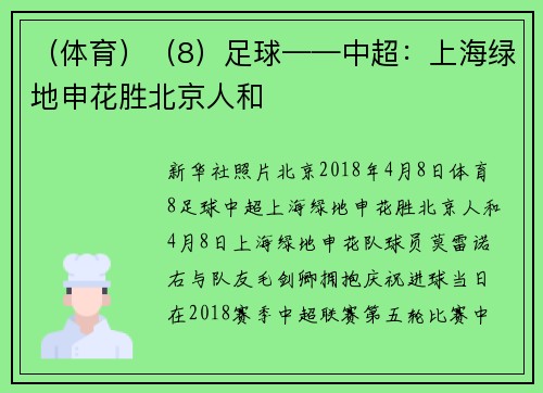 （体育）（8）足球——中超：上海绿地申花胜北京人和